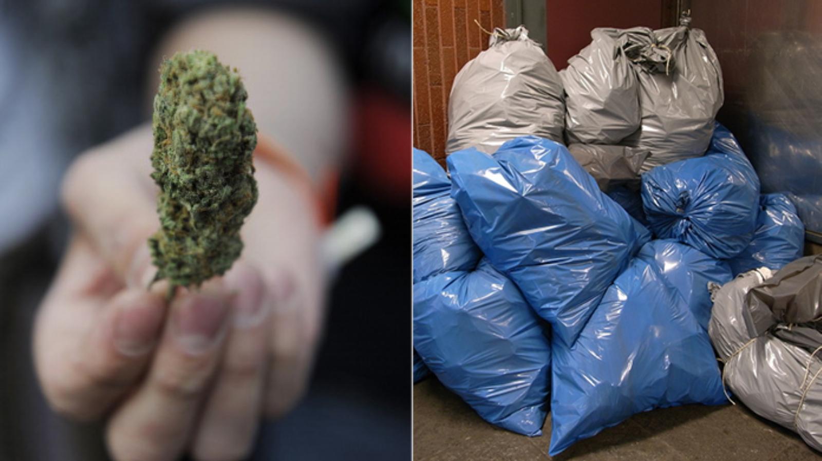 People Are Now Getting Free Weed to Pick Up Trash
