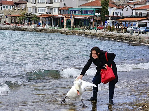 Woman Roughly Drags Swan Out Of Water By The Wing For Selfie