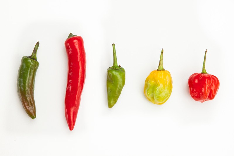 The Psychological Reason Why People Hate Spicy Foods