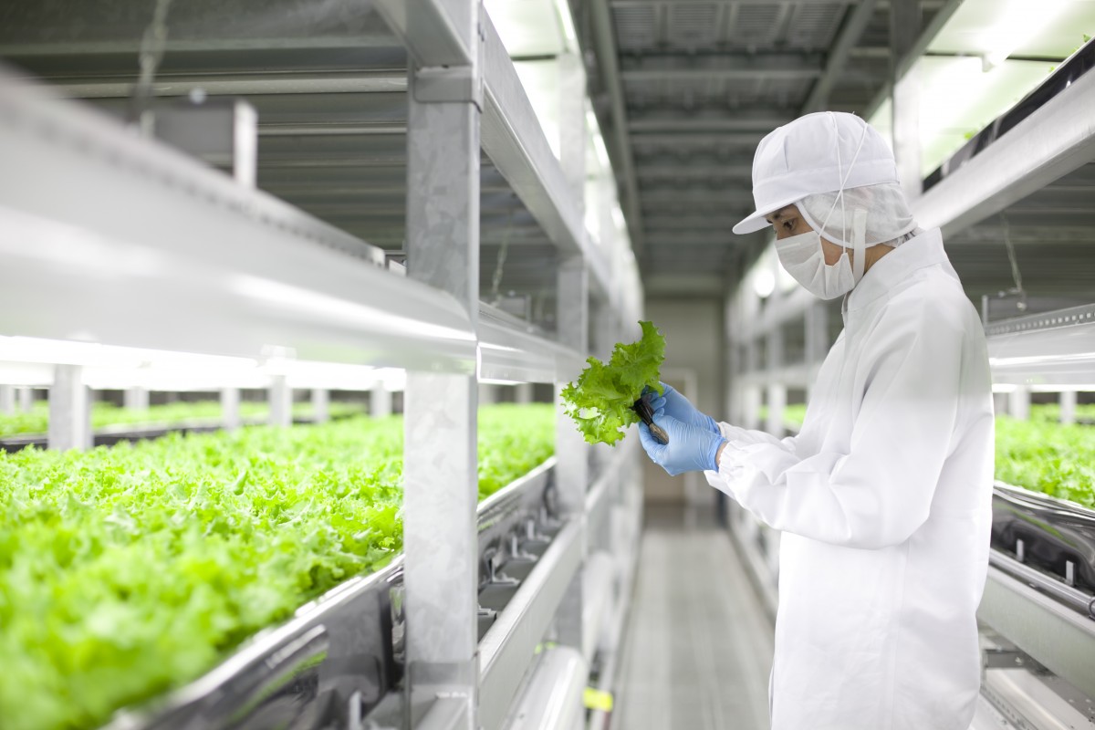 Japanese Robot Farm Company Going Big And Looking At New Vegetables