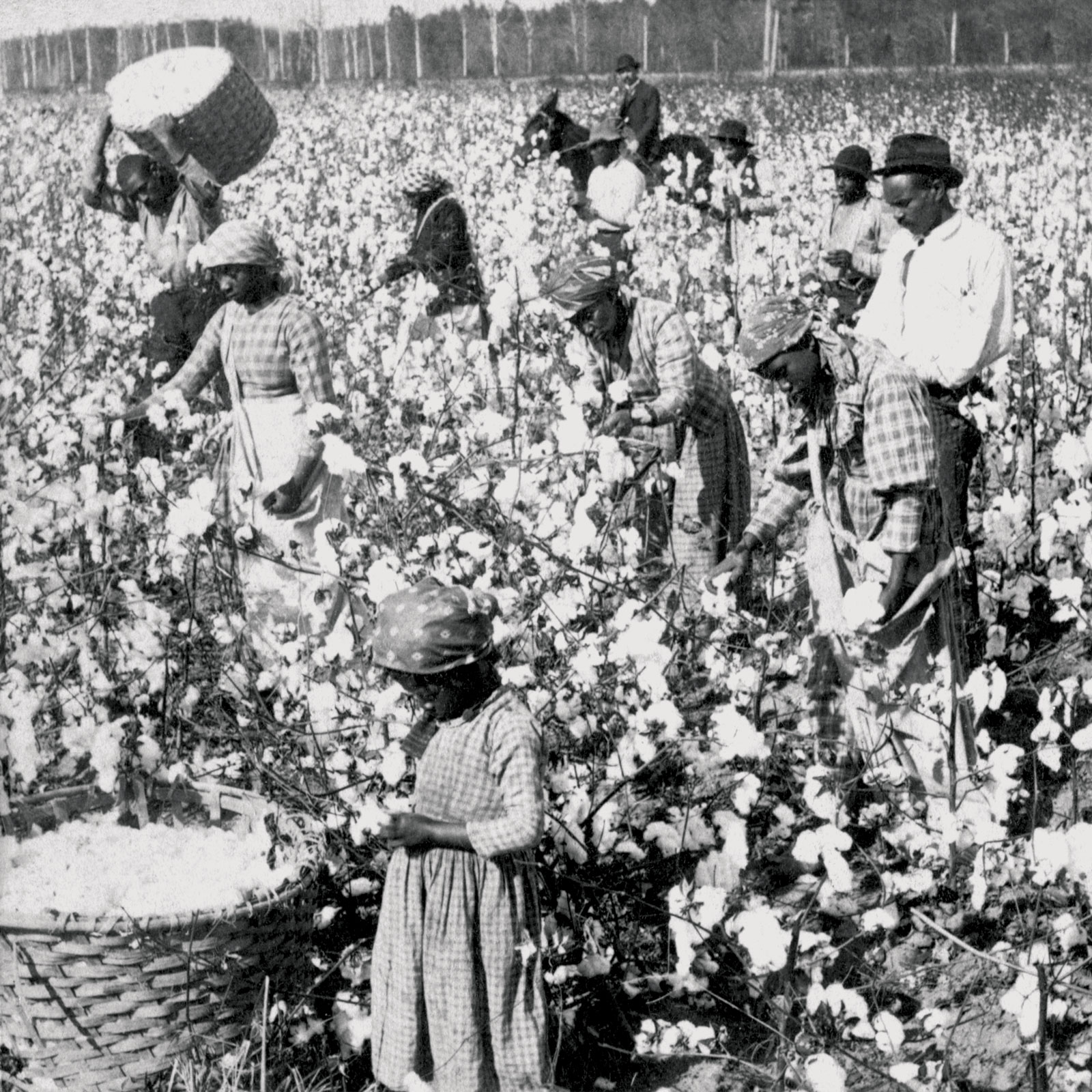 Slavery is NOT Capitalism and Here's Why