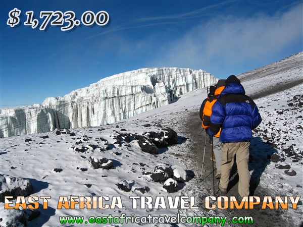 Mount Kilimanjaro Climbing/ 6 Days Rongai Route with our Professional Guides