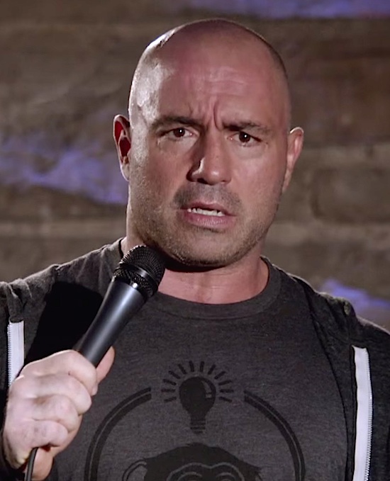 UFC Media Star Joe Rogan Questions Faith and Asks “Are You in a Cult”?
