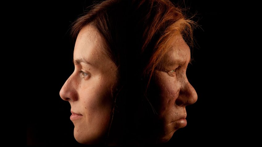 Rich sexual past between modern humans and Neandertals revealed By Ann GibbonsMar. 17, 2016 , 2:00 P