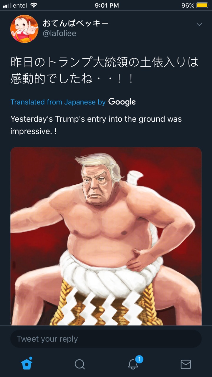 The American Left Are Idiots: OR: You Learn Something Every Day--Here’s a Lesson on Sumo Wrestling