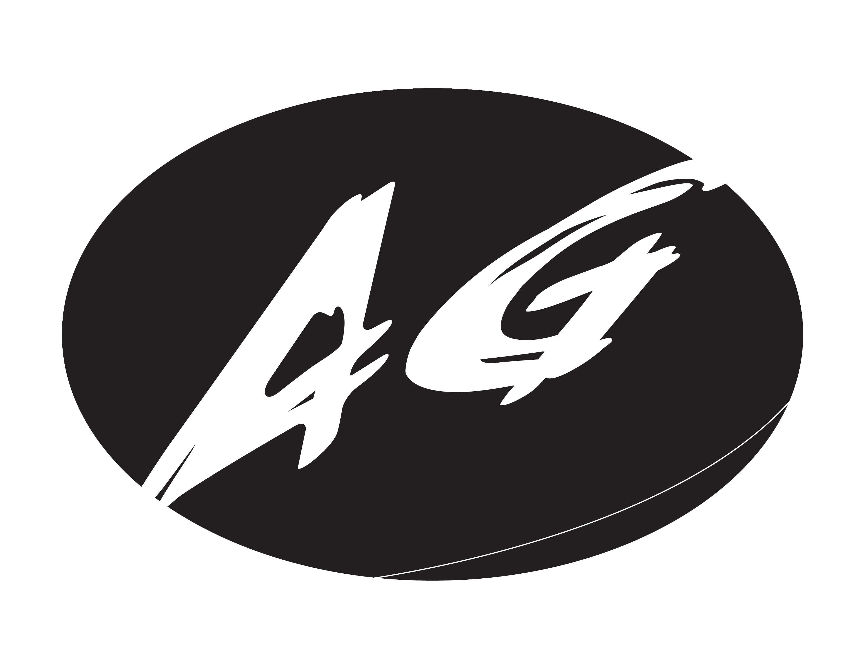 1stamender is a stinky liberal